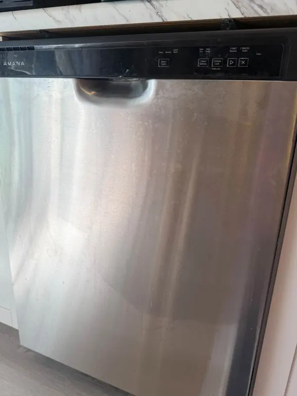 Dishwasher before, with the dirt