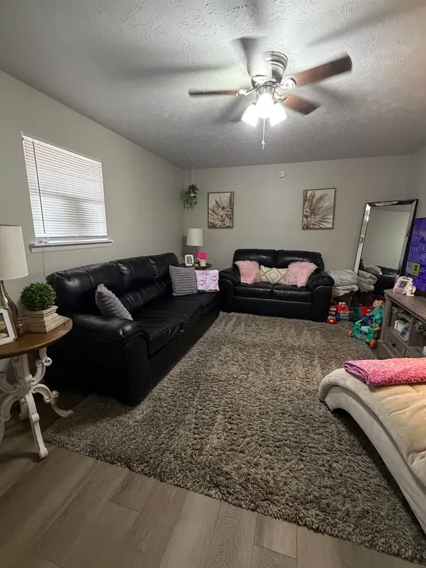 Living room after Josie cleaned it