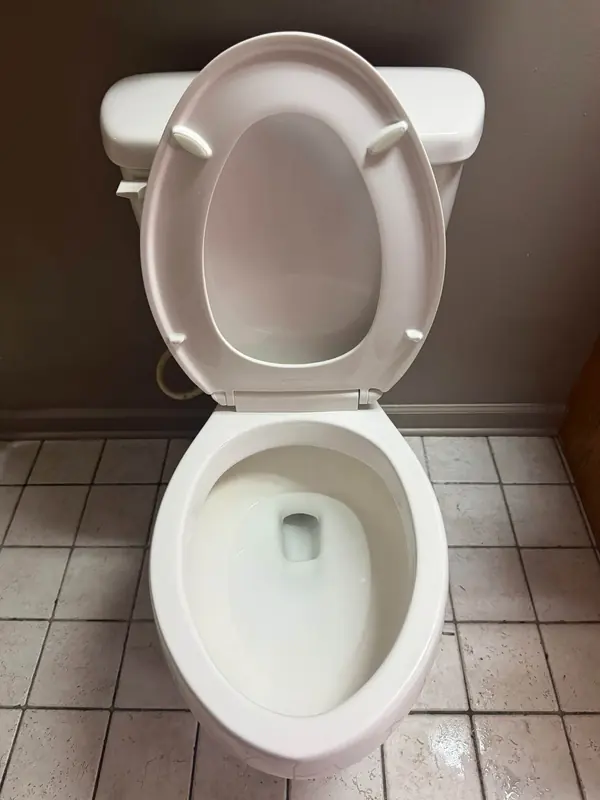 Toilet after Josie cleaned it
