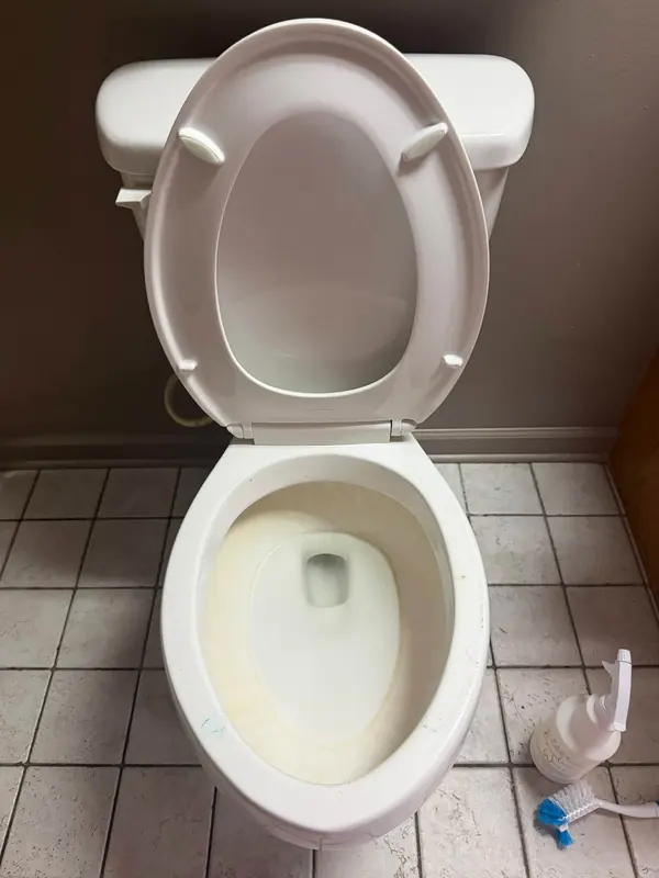 Toilet before, with the dirt