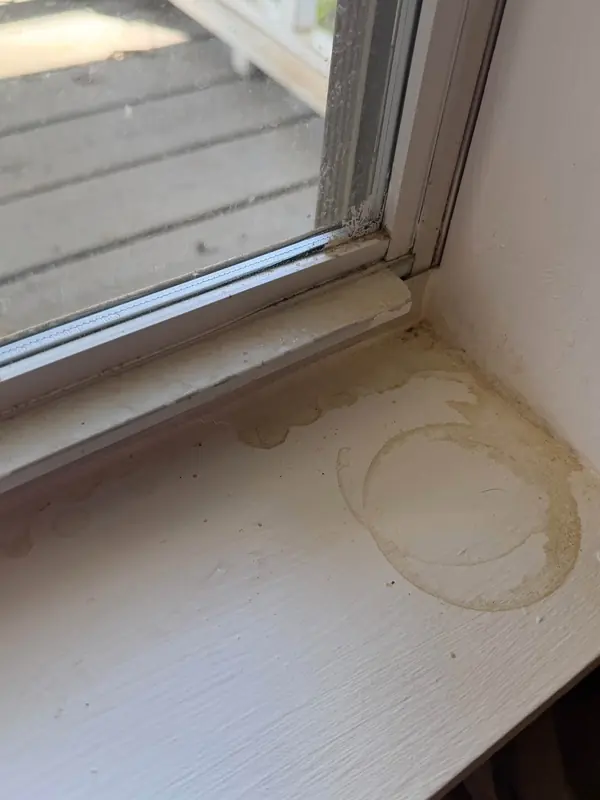 Window sill before, with the dirt